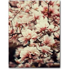 Cakatablo Ahşap Tablo Dallarda Pembe Beyaz Manolya Çiçekleri (25X35 cm Boyut)