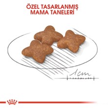 Royal Canin Mini Adult Küçük Irk Yetişkin Köpek Maması 4 kg