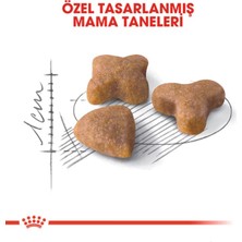 Royal Canin Sensible 33 Hassas Sindirim Sistemli Kediler Için Yetişkin Kedi Maması 15 kg