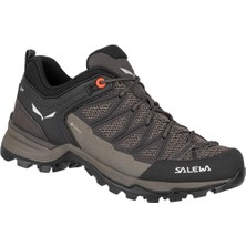 Salewa Mountain Trainer Lite Goretex Kadın Ayakkabı