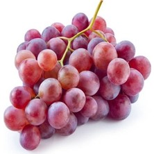 Çiçek Life 2 Adet Crimson Seedles Çekirdeksiz Üzüm Fidanı Tüplüdür