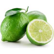 Yavuz Fidancılık Thai Lime Limon Fidanı 5 Yaş 80 Cm