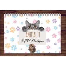 Express Planner A4 Haftalık Planlayıcı Cats Animal 1