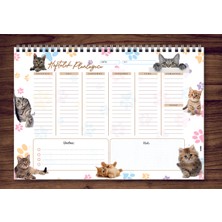 Express Planner A4 Haftalık Planlayıcı Cats Animal 1