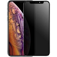 Binano Privacy Apple iPhone Xs Max Ekran Koruyucu