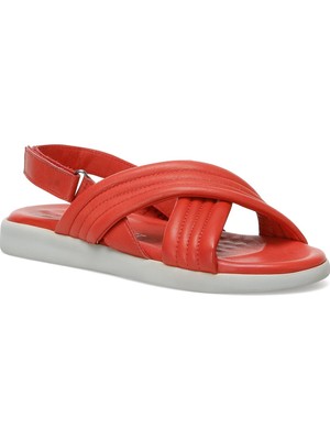 Nine West Oznega 2fx  Kadın Comfort Sandalet