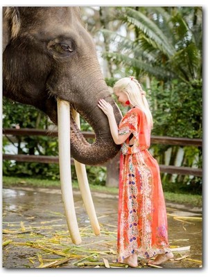 Cakatablo Ahşap Tablo Yöresel Kıyafetli Kız ve Dev Dişleriyle Fil (25X35 cm Boyut)