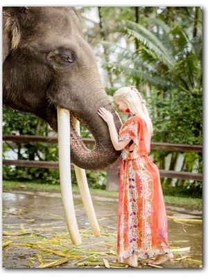 Cakatablo Ahşap Tablo Yöresel Kıyafetli Kız ve Dev Dişleriyle Fil (25X35 cm Boyut)