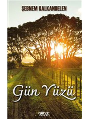 Gün Yüzü