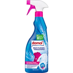 Leke Çıkarıcı Sprey Yıkama Öncesi Oxi Güç 750 ml