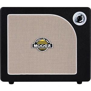 DH06 Hornet 30W Combo Gitar Ampli