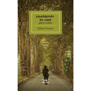 Yaşadığımdır Bir Vakit - Özkan Dursun