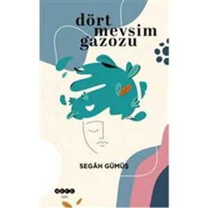 Dört Mevsim Gazozu