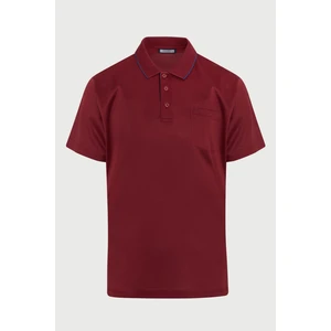 Erkek Bordo Regular Fit Merserize %100 Pamuk Polo Yaka Tişört