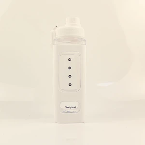 700ML Büyük Kapasiteli Su Bardağı Kadın ve Erkek Pipetli Bardak Taşınabilir Spor Su Bardağı(Yurt Dışından)