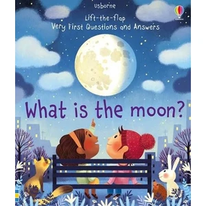 What Is The Moon? - Lift-The-Flap  Very First Questions & Answers - Katie Daynes