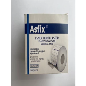 Flaster 10 M x 10 cm