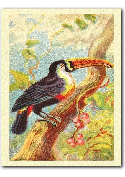 Cakatablo Ahşap Tablo Toco Toucan Kuş Görseli (25X35 cm Boyut)