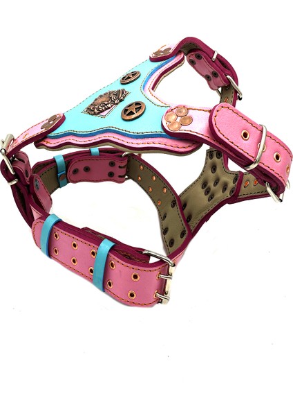 Pembe-Mavi Yıldızlı Dişi Deri Köpek Göğüs Tasması fiyatları