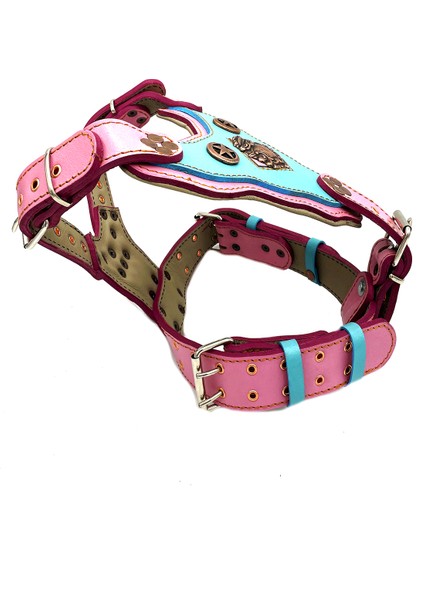 Pembe-Mavi Yıldızlı Dişi Deri Köpek Göğüs Tasması modelleri