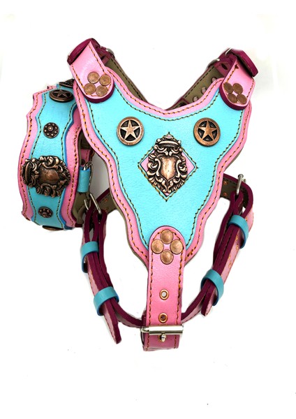 Pembe Mavi Yıldızlı Dişi Köpek Tasma Göğüslük Boyunluk Tasma Seti