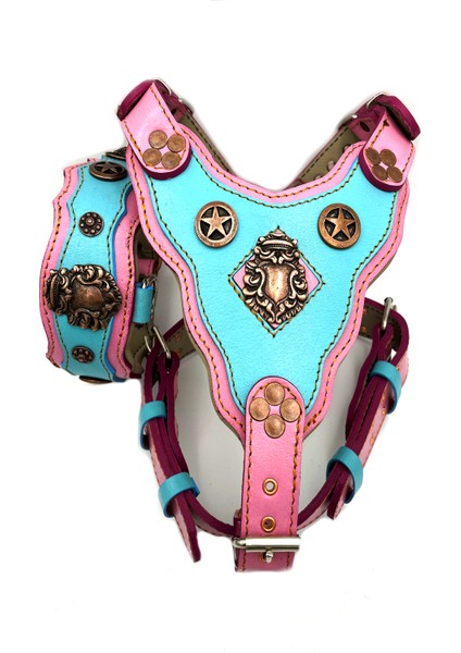 Pembe Mavi Yıldızlı Dişi Köpek Tasma Göğüslük Boyunluk Tasma Seti fiyatları