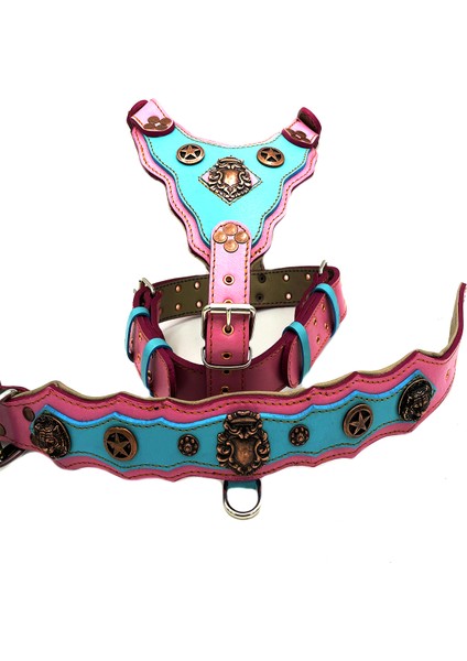 Pembe Mavi Yıldızlı Dişi Köpek Tasma Göğüslük Boyunluk Tasma Seti modelleri