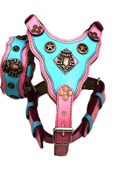 Pembe Mavi Yıldızlı Dişi Köpek Tasma Göğüslük Boyunluk Tasma Seti fırsatları