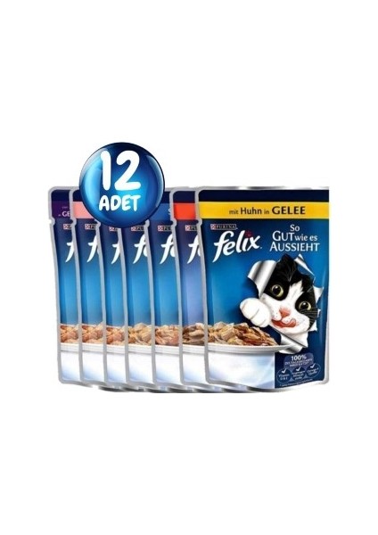 Karışık Yaş Kedi Maması 12 Li