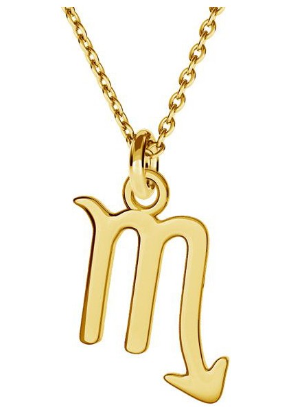 Halkalı Akrep Burcu 925 Ayar Gümüş Kolye