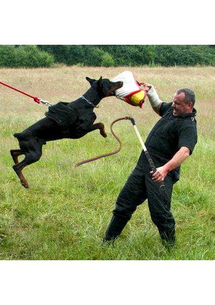 Deri Köpek Eğitimi Kırbacı Çeviklik Eğitimi Çalışma Araçları (Yurt Dışından)