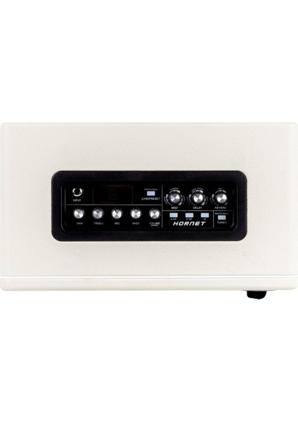 DH07 Hornet 30W Combo Gitar Ampli