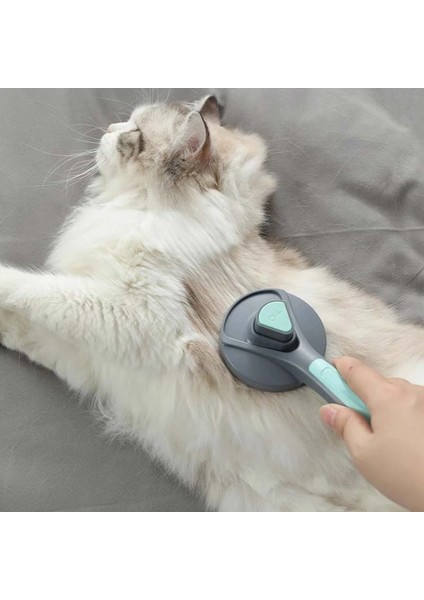 Evcil Köpek Kedi Saç Fırçası-Pembe (Yurt Dışından) indirimleri
