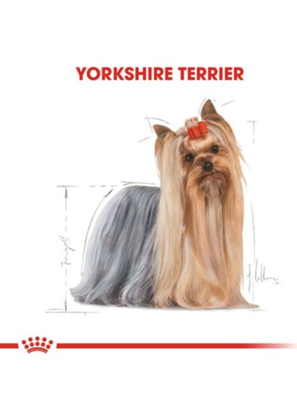 Yorkshire Terrier Adult Köpek Konservesi 12X85GR (12LI)