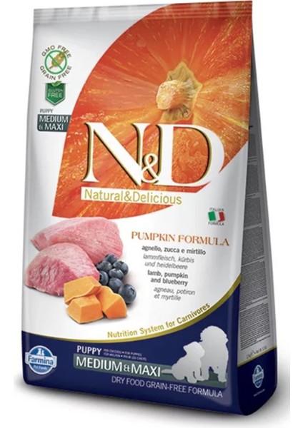 Pumpkin Kuzu Etli ve Yaban Mersinli Orta ve Büyük Irk Tahılsız Yavru Köpek Maması 12 kg