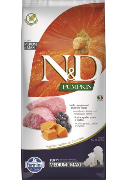 Pumpkin Kuzu Etli ve Yaban Mersinli Orta ve Büyük Irk Tahılsız Yavru Köpek Maması 12 kg fiyatları