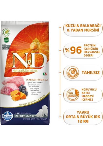 Pumpkin Kuzu Etli ve Yaban Mersinli Orta ve Büyük Irk Tahılsız Yavru Köpek Maması 12 kg modelleri