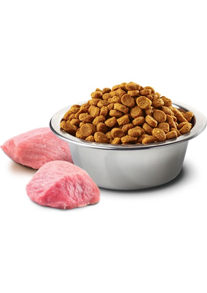 Pumpkin Kuzu Etli ve Yaban Mersinli Orta ve Büyük Irk Tahılsız Yavru Köpek Maması 12 kg fırsatları