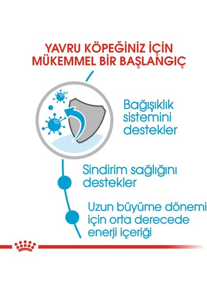 Maxi Puppy Büyük Irk Yavru Köpek Maması 15 kg