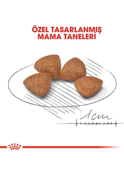 X-Small Puppy Küçük Irk Yavru Köpek Maması 1.5 kg modelleri