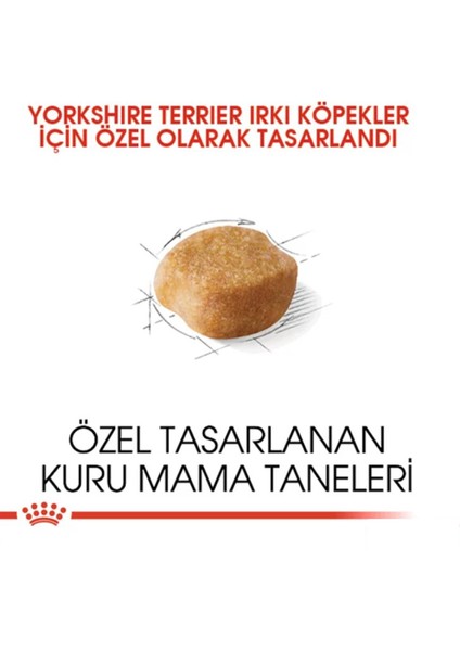 Yorkshire Terrier Adult Yetişkin Köpek Maması 1.5 kg modelleri