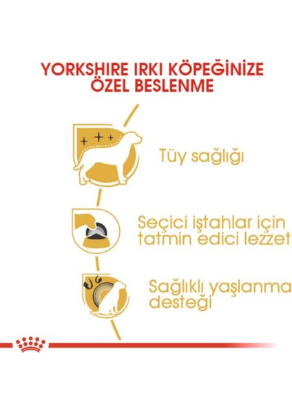 Yorkshire Terrier Adult Yetişkin Köpek Maması 1.5 kg fırsatları