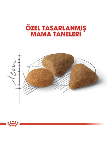 Exigent Hassas Seçici Kediler Için Kedi Maması 4 kg