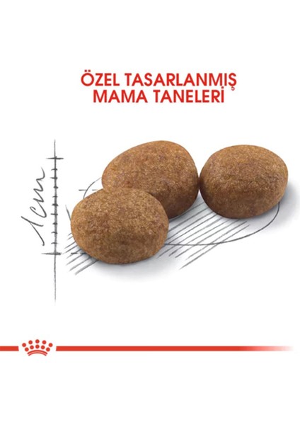 Sterilised 37 Kısırlaştırılmış Kedi Maması 2 kg