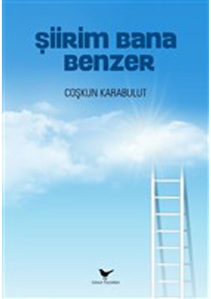 Şiirim Bana Benzer