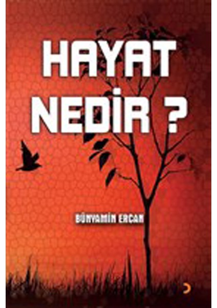 Hayat Nedir?