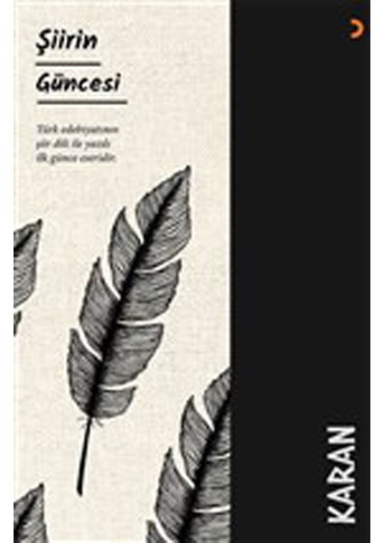 Şiirin Güncesi