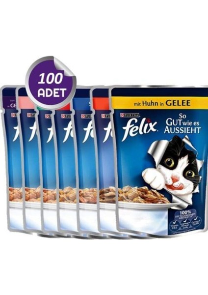 Karışık Kedi Yaş Maması 100 Adet x 100 gr