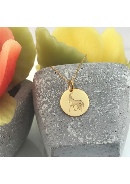 Burçlar Yuvarlak Plaka 925 Ayar Gümüş Kolye fırsatları