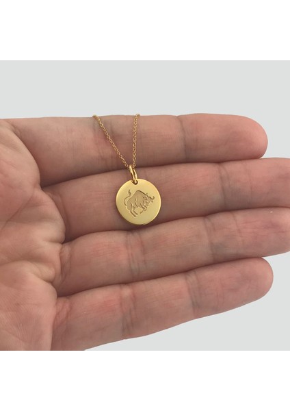 Burçlar Yuvarlak Plaka 2 925 Ayar Gümüş Kolye fiyatları